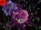 天然病毒m1能杀癌细胞 警惕十大癌症早期征兆
