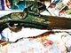 香港垃圾站发现“海盗王古董枪”仿制品(图)