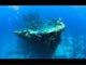 水下寻宝：巴拿马发现罕见17世纪西班牙沉船