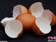 比利时毒鸡蛋含高浓度杀虫药 多国宣布将数百万只鸡蛋下架