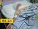 武汉7岁女孩被精神病母亲开水浇头 致重伤