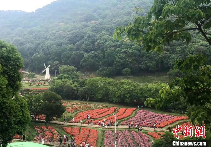 广州农业公园成市民休闲旅游“网红”打卡点