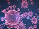 英媒:科学家担心新型冠状病毒正在适应人类