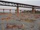 恒河已打捞出上千具浮尸 印度官员:与新冠无关系河葬习俗