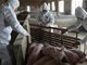 北方非洲猪瘟疫情发酵 四川畜牧业协会提交建议